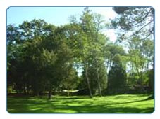 Un parc tranquille avec plus de 70 arbes