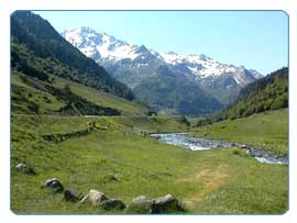 Cycle through lush valleys of Pyreneen foothills 