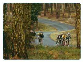 Cycling training camps - pine forests & Pyrenees passes beckon