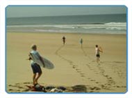 A surfer takes to the wide beach near Leon